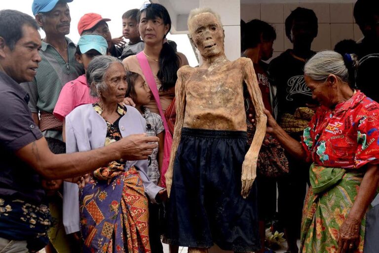 Healing and Growth in Every Circumstance – newyork365.info