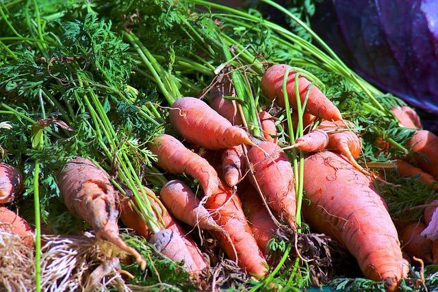 DeSean Jackson’s Exciting Journey: From NFL Stardom to DSU Spotlight – philadelphia365.info