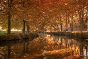 Honoring Tomas Cruz: Celebrated U.S. Veteran and Cherished Guamanian Patriarch Passes Away – las-vegas365.info