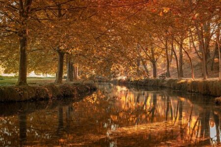 Honoring Tomas Cruz: Celebrated U.S. Veteran and Cherished Guamanian Patriarch Passes Away – las-vegas365.info