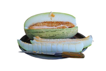 Italian PM Giorgia Meloni Sounds Urgent Alarm for 2026 Amid Rising Public Uncertainty – www.mondialnews.com