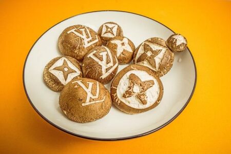 Louis Vuitton’s Cruise 2026 Show: A Stunning Tribute to French Heritage – news-france.info