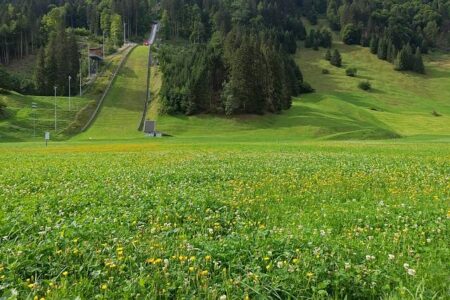 The Shocking Ski Jump Cheating Scandal That Rocked College Sports – athletism.info