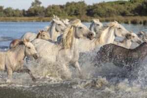 Get Ready: Summer Hill Running League Launches Thrilling New Season Next Week! – athletism.info